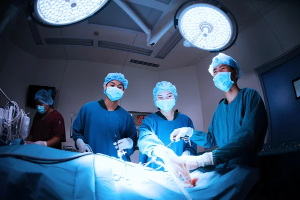 Grupo de médicos veterinarios en quirófano para cirugía laparoscópica —  Fotos de Stock