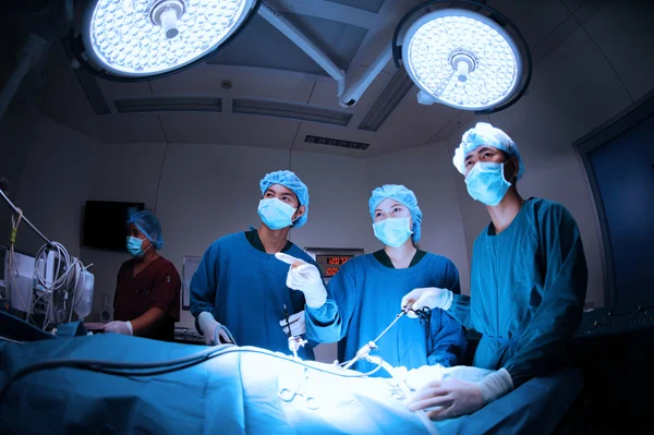 Grupo de médico veterinário na sala de operação para cirurgia laparoscópica — Fotografia de Stock