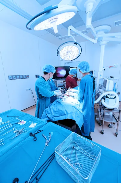 Gruppe von Tierärzten im Operationssaal für laparoskopische Chirurgie — Stockfoto