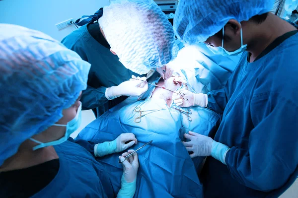 Groep van dierenarts chirurgie in operatie kamer — Stockfoto