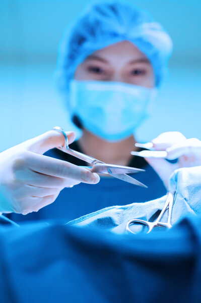 Portrait of veterinarian surgeons in operating room