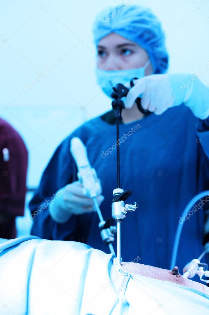 Veterinarian doctor in operation room for laparoscopic surgical