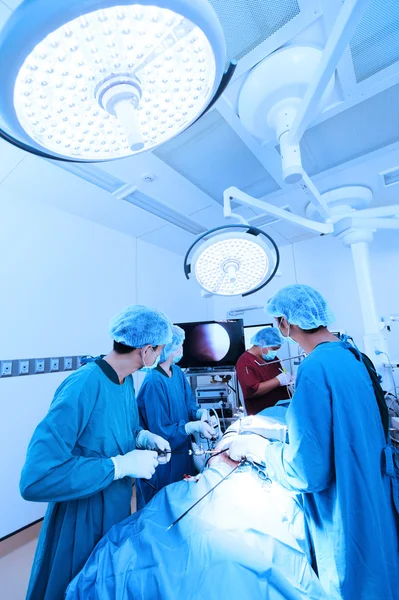 Grupo de médico veterinário na sala de operação para cirurgia laparoscópica — Fotografia de Stock
