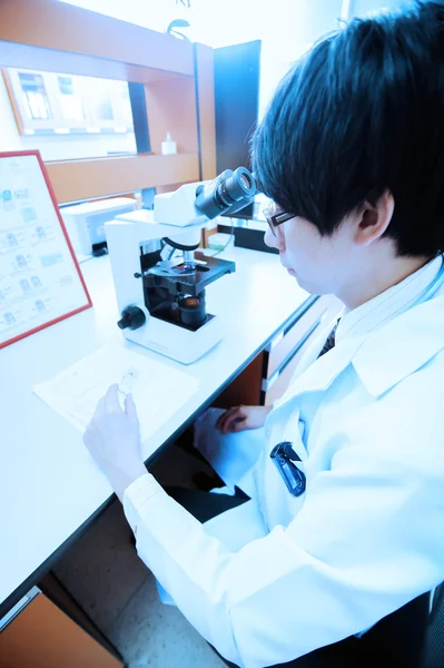 Veterinär läkare arbetar i laboratoriet — Stockfoto