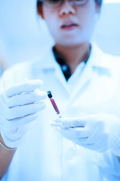 Scientist working at the blood laboratory — Stock Photo, Image