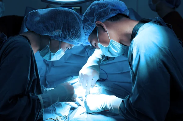 Two veterinarian surgeons in operating room — Stock Photo, Image