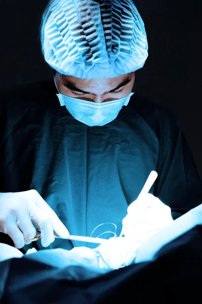 Veteriner Doktor için operasyon odasında cerrahi
