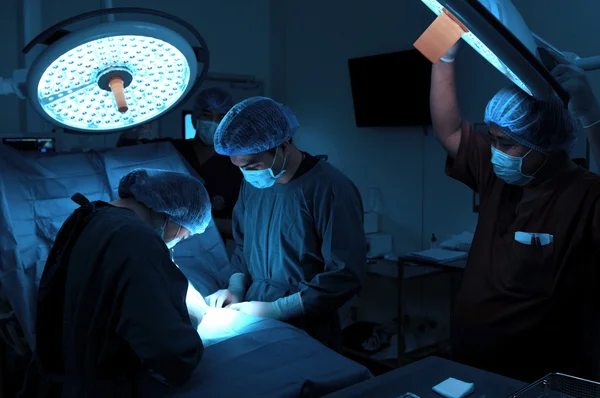 A veterinarian surgeon working in a small operating room with an assistant — Stock Photo, Image