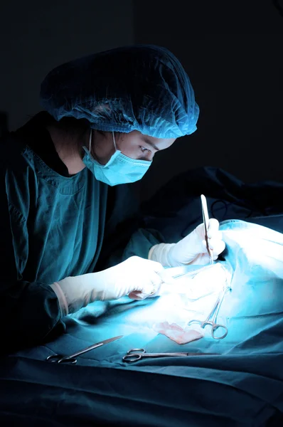 Lekarz lekarz weterynarii w pokoju operacji chirurgicznej — Zdjęcie stockowe