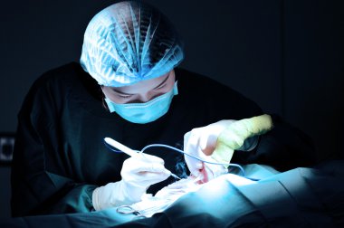 Veteriner Doktor için operasyon odasında cerrahi