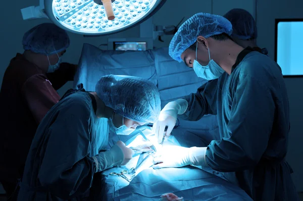 A veterinarian surgeon working in a small operating room with an assistant — Stock Photo, Image