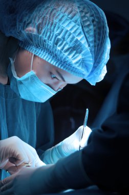 Veteriner Doktor için operasyon odasında cerrahi