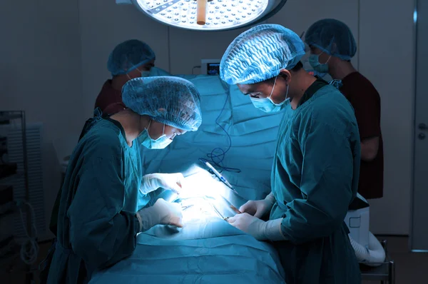 Ветеринарный хирург, работающий в маленькой операционной с ассистентом — стоковое фото
