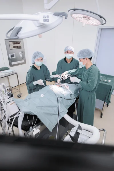 Médico veterinário em sala de operação para cirurgia laparoscópica — Fotografia de Stock