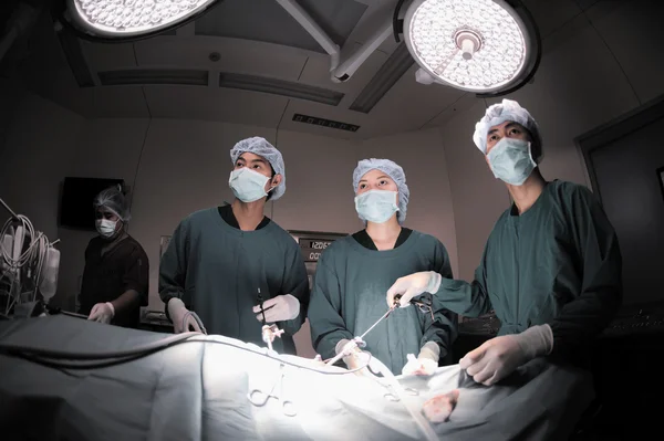 Médico veterinário em sala de operação para cirurgia laparoscópica — Fotografia de Stock