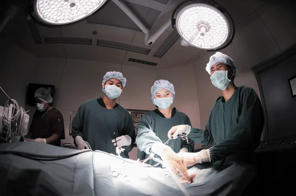 Veterinární lékař v operačním sále pro laparoskopické chirurgické — Stock fotografie