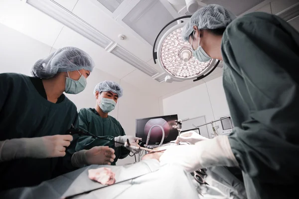 Врач-ветеринар в операционной для лапароскопической хирургии — стоковое фото