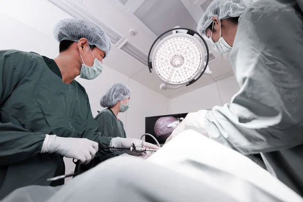 Veterinär läkare i operationssal för laparoskopisk kirurgi — Stockfoto