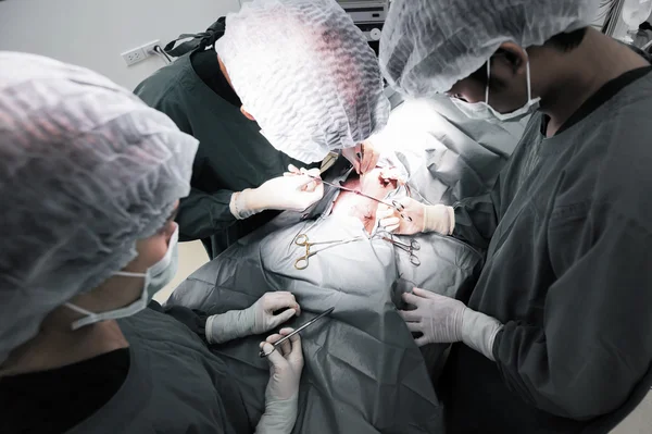 Veterinarian surgeons in operation room — Stock Photo, Image