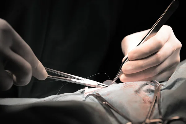 Veterinarian doctor in operation room for surgical — Stock Photo, Image