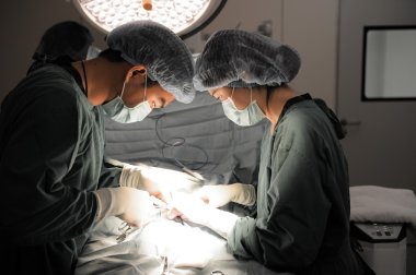 Ameliyathanede iki veteriner cerrah var.