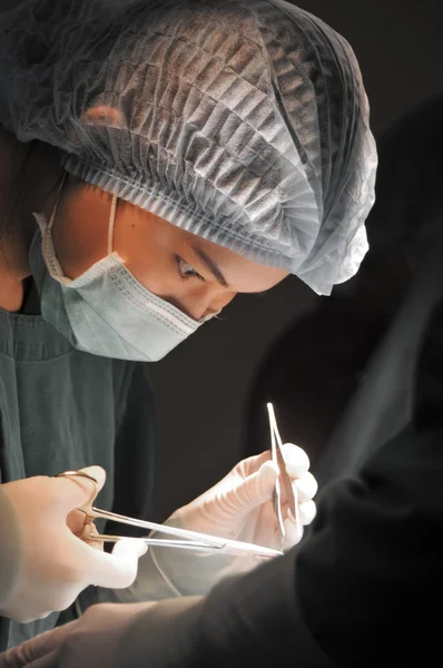 Dierenarts doctor in de operatie kamer voor chirurgische — Stockfoto