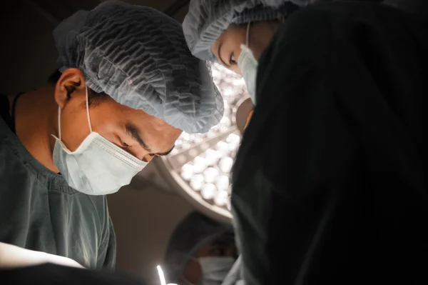 Dois cirurgiões veterinários na sala de operações — Fotografia de Stock