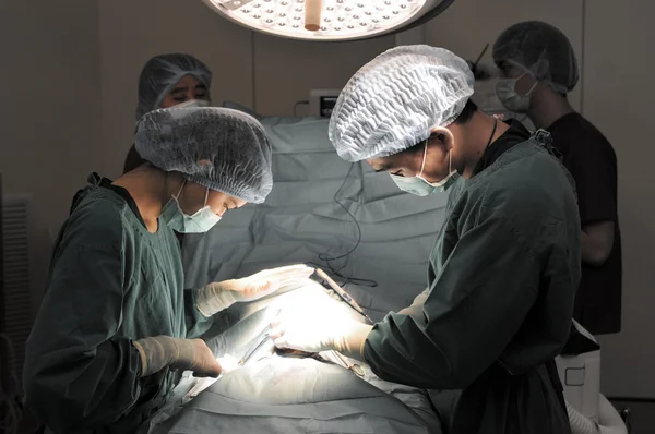 Weterynarz chirurg pracuje w małej sali operacyjnej wraz z asystentem — Zdjęcie stockowe