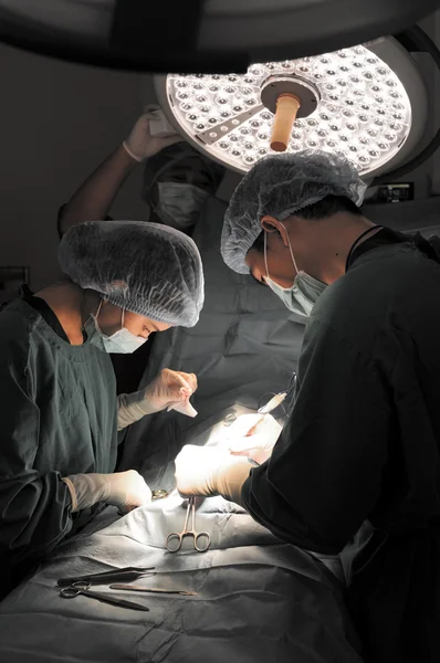 Dois cirurgiões veterinários na sala de operações — Fotografia de Stock