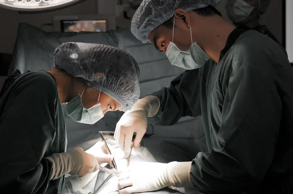 Dois cirurgiões veterinários na sala de operações — Fotografia de Stock