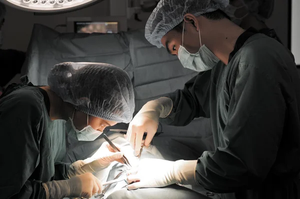 Dos veterinarios en quirófano —  Fotos de Stock