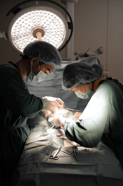 Dois cirurgiões veterinários na sala de operações — Fotografia de Stock