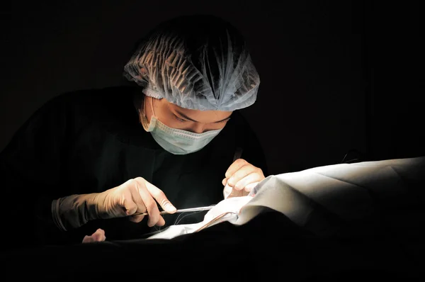 Médico veterinario en quirófano para cirugía —  Fotos de Stock