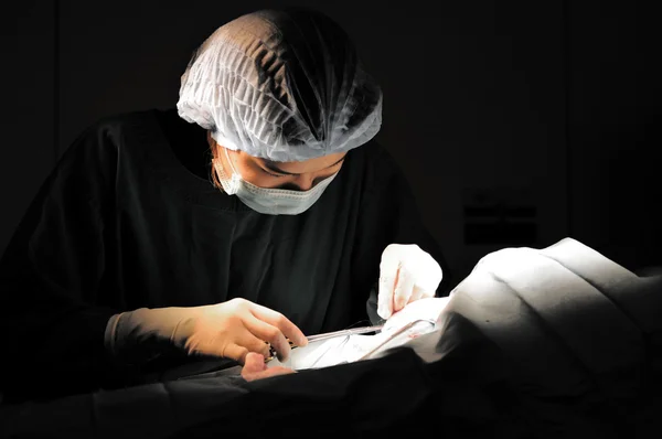Lekarz lekarz weterynarii w pokoju operacji chirurgicznej — Zdjęcie stockowe