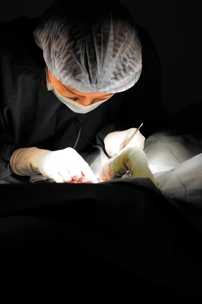 Médico veterinário em sala de operação para cirurgia — Fotografia de Stock