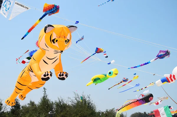 CHA- AM BEACH - MARCH 28: Thailand International Kite Festival — Stock Photo, Image
