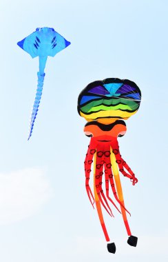 Cha-Am Beach - 28 Mart: Tayland Uluslararası Uçurtma Şenliği