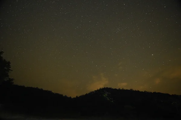 森や木々 に天の川の夜空 — ストック写真