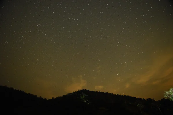 森や木々 に天の川の夜空 — ストック写真