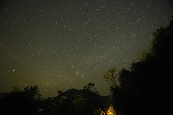 Cielo nocturno con la Vía Láctea sobre el bosque y los árboles — Foto de Stock