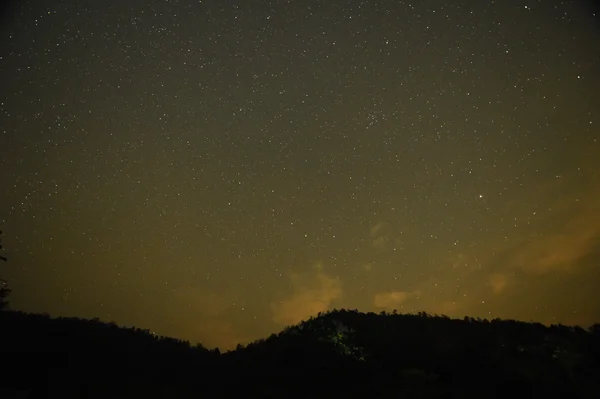 森や木々 に天の川の夜空 — ストック写真