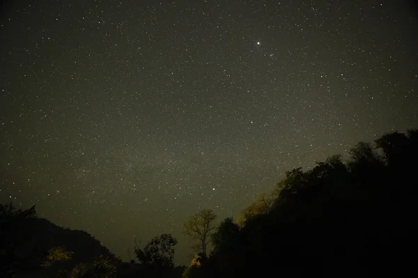 Cielo nocturno con la Vía Láctea sobre el bosque y los árboles — Foto de Stock
