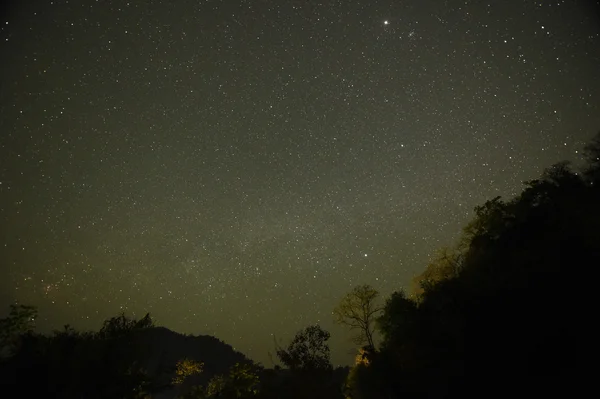 Céu noturno com a Via Láctea sobre a floresta e árvores — Fotografia de Stock