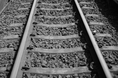 Tren yolu ya da tren rayları