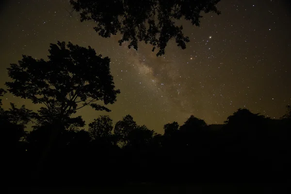 Cielo nocturno con la Vía Láctea sobre el bosque y los árboles — Foto de Stock