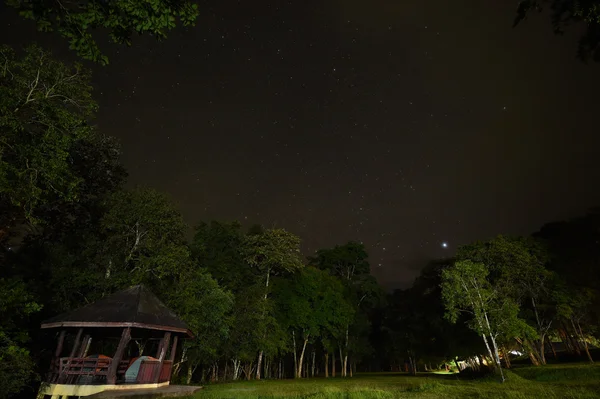 Cielo nocturno con la Vía Láctea sobre el bosque y los árboles Imagen de archivo