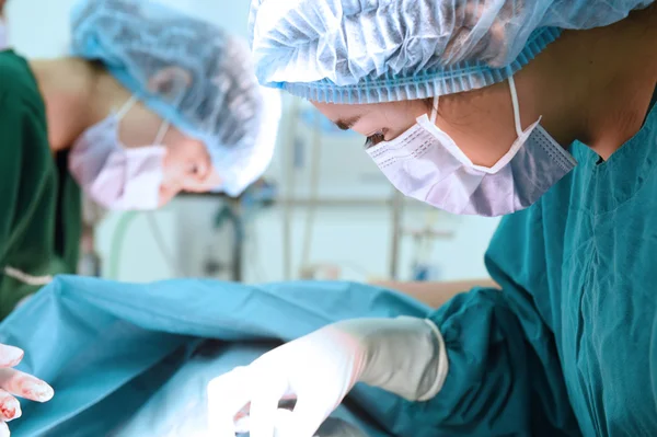 Dois cirurgiões veterinários na sala de operações — Fotografia de Stock