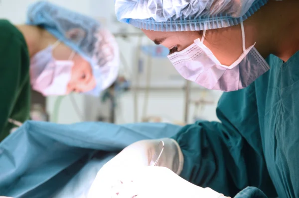 Dois cirurgiões veterinários na sala de operações — Fotografia de Stock