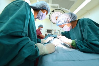 Veteriner Cerrahi operasyon odasında grup