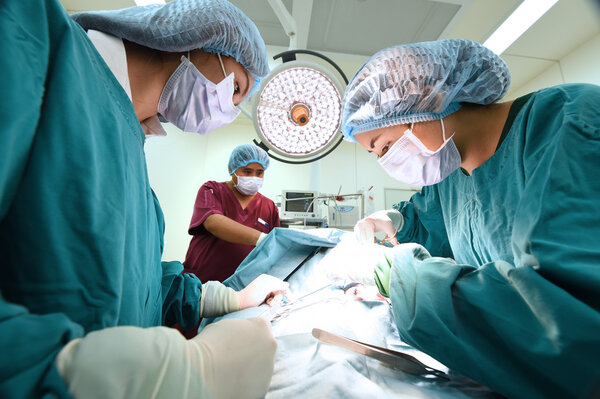 Группа ветеринарной хирургии в операционной
